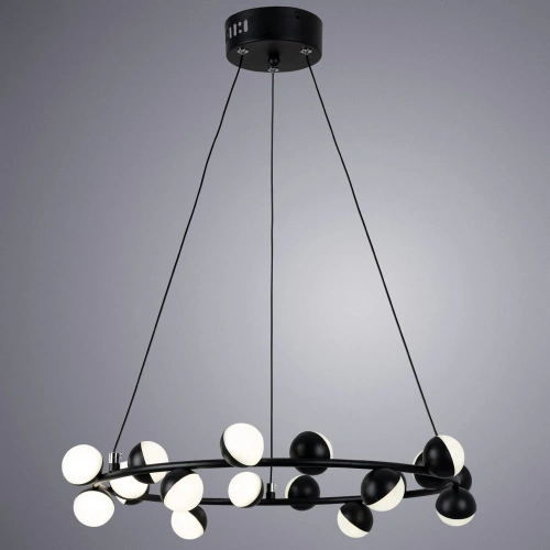 Подвесная люстра Arte Lamp DEXTER A3619SP-18BK фото 2 Подвесная люстра Arte Lamp DEXTER A3619SP-18BK фото 2