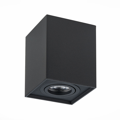 ST109.407.01 Светильник потолочный Черный GU10 1*50W  L100xW100xH123 220V Без ламп Накладные светильники фото 2