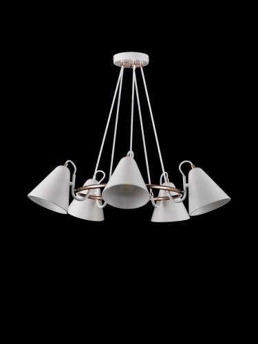 Люстра Freya FR8001PL-05WG фото 2