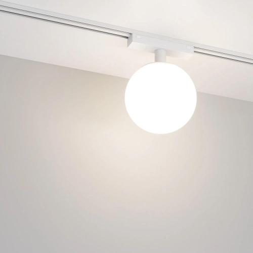 Трековый светодиодный светильник Arlight Mag-Vibe-Sfero-R120-6W Day4000 044459 фото 2