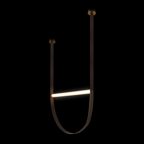 10221/1250 Подвесной светильник LOFT IT Liana фото 2 10221/1250 Подвесной светильник LOFT IT Liana фото 2