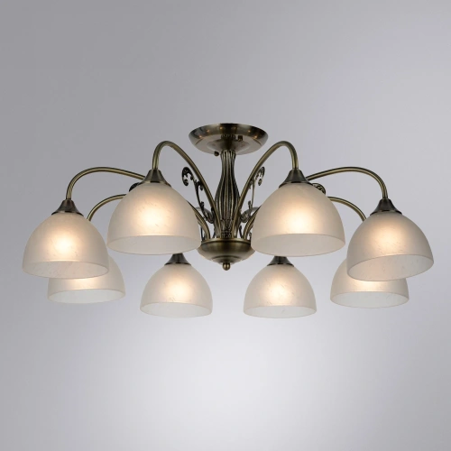 Потолочная люстра Arte Lamp SPICA A3037PL-8AB фото 2 Потолочная люстра Arte Lamp SPICA A3037PL-8AB фото 2