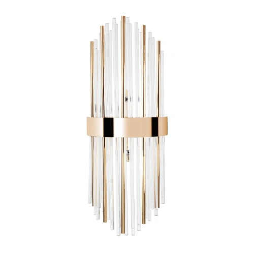 Настенный светильник Arte Lamp ACAPULCO A1007AP-2GO
