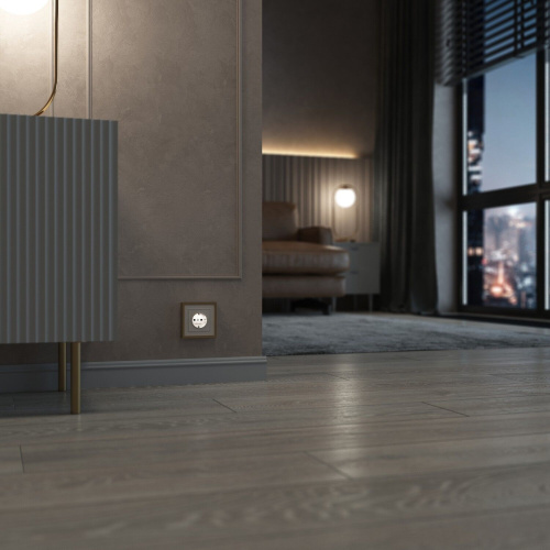 Розетка с подсветкой W (айвори матовый) W1171462 фото 4