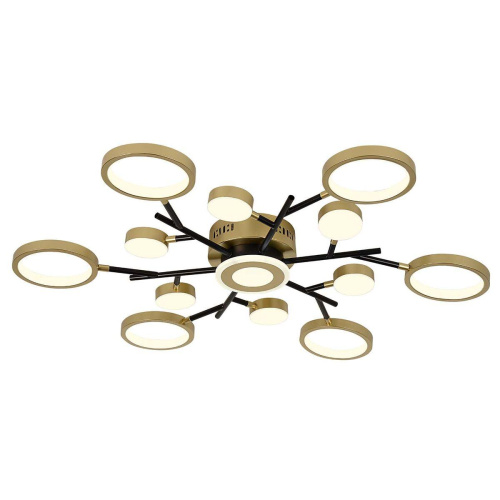Потолочный светодиодный светильник F-Promo Hybrid 4686-13C