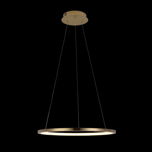 10014M Подвесной светильник LOFT IT Ring фото 3