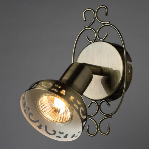 Спот Arte Lamp FOCUS A5219AP-1BR фото 2