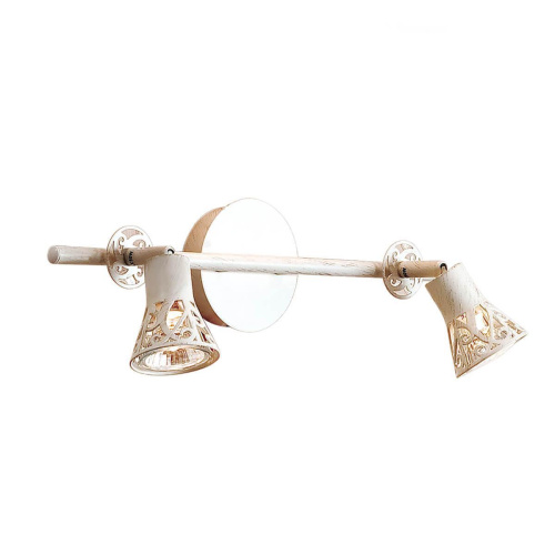 Спот Citilux Винон CL519525 Спот Citilux Винон CL519525