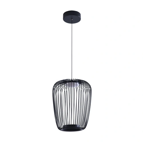 Подвесной светильник Arte Lamp FLARE A3528SP-12BK Подвесной светильник Arte Lamp FLARE A3528SP-12BK