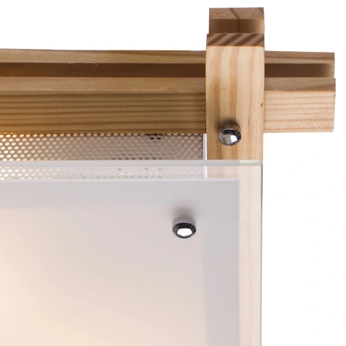 Потолочный светильник Arte Lamp ARCHIMEDE A6460PL-2BR фото 3 Потолочный светильник Arte Lamp ARCHIMEDE A6460PL-2BR фото 3