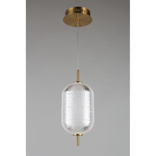 Светильник подвесной OML-68806-01 фото 5 Светильник подвесной OML-68806-01 фото 5