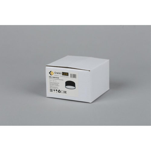 Светильник встраиваемый-накладной OML-100919-06 фото 2