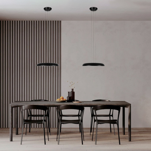 10371P Black Подвесной светильник LOFT IT Dime фото 3