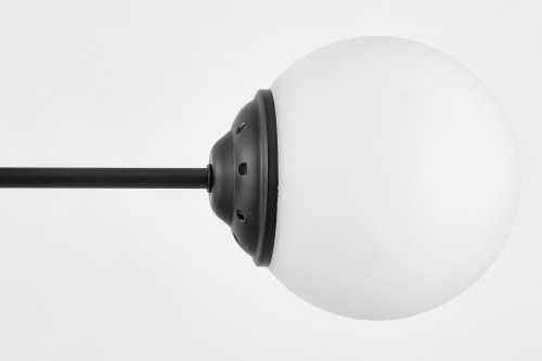 Подвесной светильник Lampit Fino TP 2003-3 BK фото 5 Подвесной светильник Lampit Fino TP 2003-3 BK фото 5