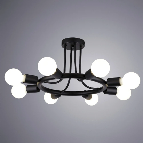 Потолочная люстра Arte Lamp HIGHGARDEN A6063PL-8BK фото 2