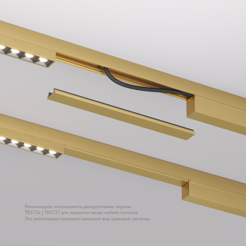 TR5736-SB Декоративная заглушка желоба трека SHINE BASE, 20см, сатинированная латунь, алюминий фото 5