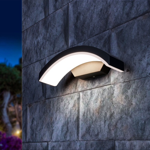 Пылевлагозащи<wbr>щенный настенный светодиодный светильник Asteria D IP54 1671 Techno LED черный фото 2 Пылевлагозащи<wbr>щенный настенный светодиодный светильник Asteria D IP54 1671 Techno LED черный фото 2