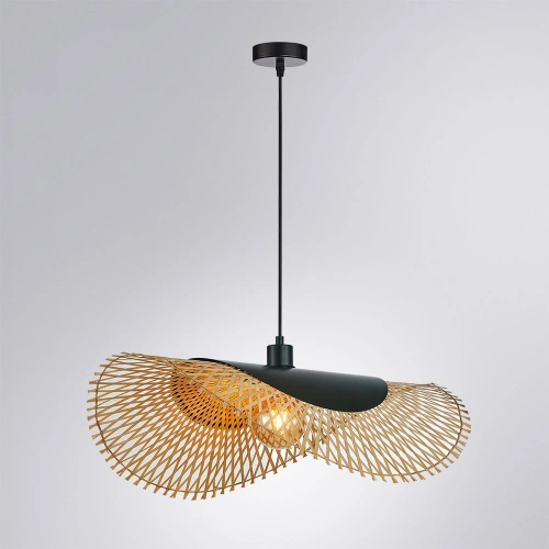 Подвесной светильник Arte Lamp WOODSTOCK A7063SP-1BK фото 2