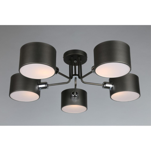 Люстра потолочная OML-54507-05 фото 6