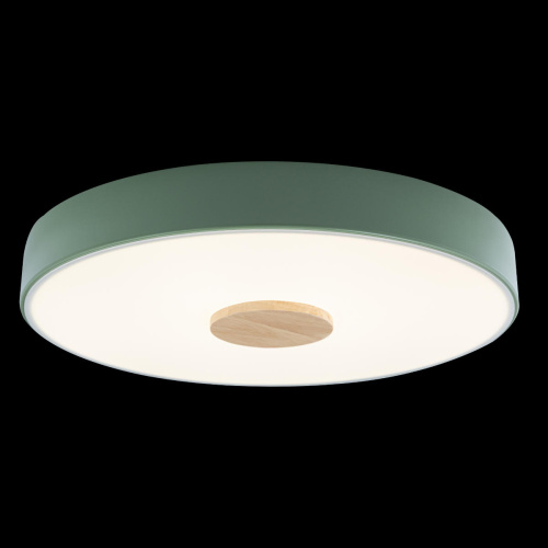 10003/24 Green Потолочный светильник LOFT IT Axel фото 2