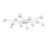 Люстра Lumion COMFI 8343/12C