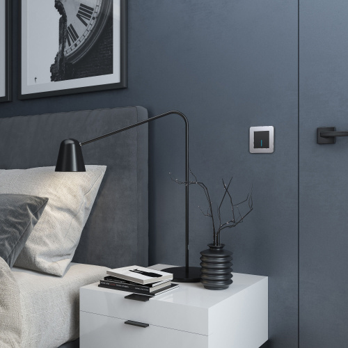 Рамка из металла на 1 пост Platinum алюминий W0012606 фото 2 Рамка из металла на 1 пост Platinum алюминий W0012606 фото 2