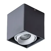 Точечный накладной светильник Arte Lamp PICTOR A5654PL-1BK
