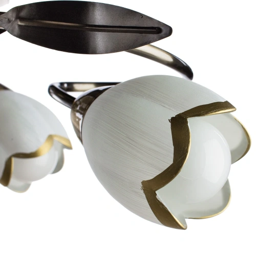 Потолочная люстра Arte Lamp PERCE A6061PL-6AB фото 3 Потолочная люстра Arte Lamp PERCE A6061PL-6AB фото 3