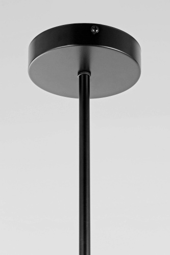 Подвесной светильник Lampit TP 2007-6 BK фото 2