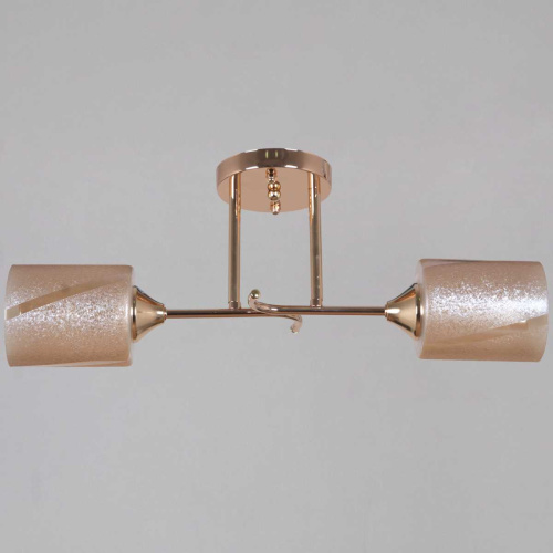 Потолочная люстра Reluce 51460-0.3-02 FG фото 2