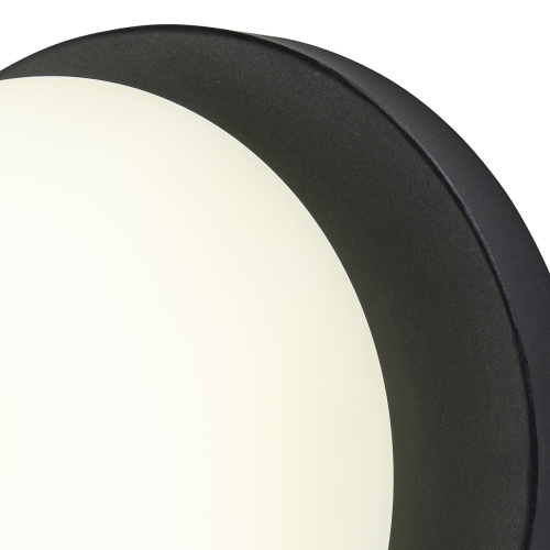 Настенный светильник Escada 10273/1 LED*7W Black фото 5