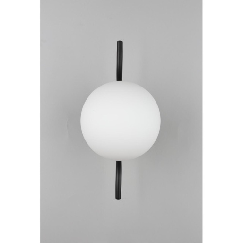 Светильник настенный (Бра) APL.312.01.01 фото 6