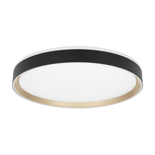 Citilux BOSS CL751451G LED RGB Светильник с пультом Чёрный с Золотом фото 4 Citilux BOSS CL751451G LED RGB Светильник с пультом Чёрный с Золотом фото 4