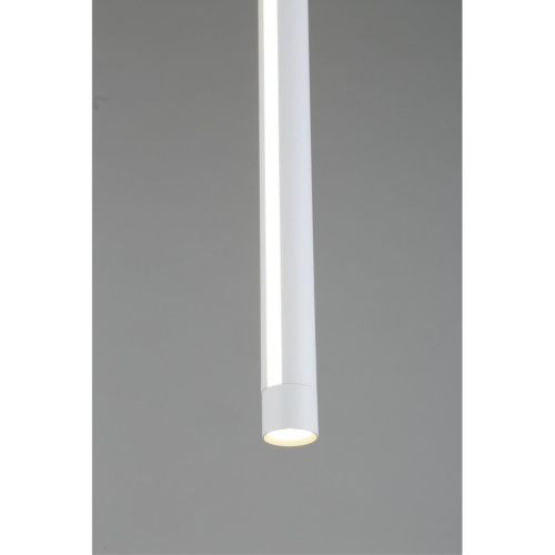 Светильник подвесной OML-102006-17 фото 6 Светильник подвесной OML-102006-17 фото 6