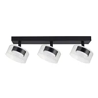 Спот Arte Lamp ALIUS A8042PL-3BK