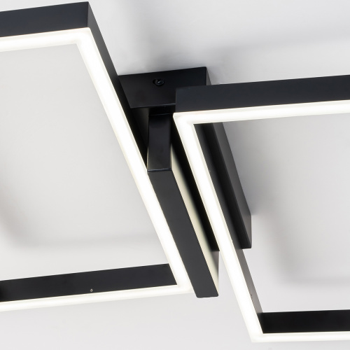 Потолочный светильник Escada 10209/2 LED*60W Black фото 5 Потолочный светильник Escada 10209/2 LED*60W Black фото 5