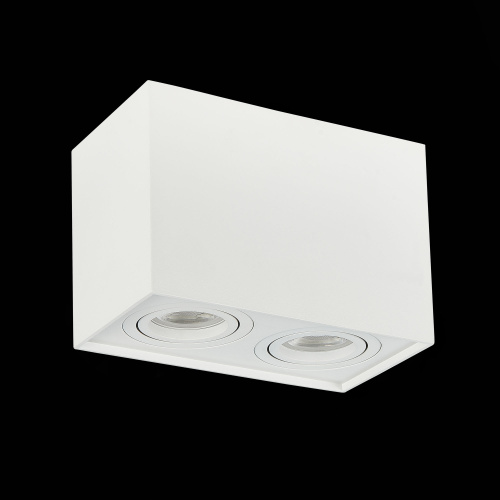 ST109.507.02 Светильник потолочный Белый GU10 2*50W  L181xW100xH123 220V Без ламп Накладные светильники фото 4