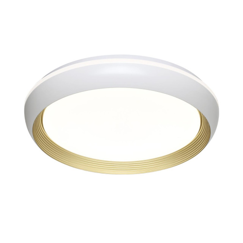 7650/DL PALE SN 141 Светильник пластик/белый/золотой LED 48Вт 4000К D380 IP43 TOFIQ WHITE фото 3 7650/DL PALE SN 141 Светильник пластик/белый/золотой LED 48Вт 4000К D380 IP43 TOFIQ WHITE фото 3