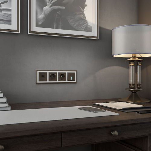 Клавиша для выключателя c подсветкой (бронзовый) W1119112 фото 3 Клавиша для выключателя c подсветкой (бронзовый) W1119112 фото 3