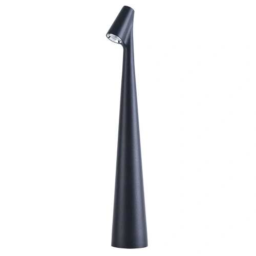 Декоративная настольная лампа Arte Lamp FUSION A3283LT-2BK Декоративная настольная лампа Arte Lamp FUSION A3283LT-2BK