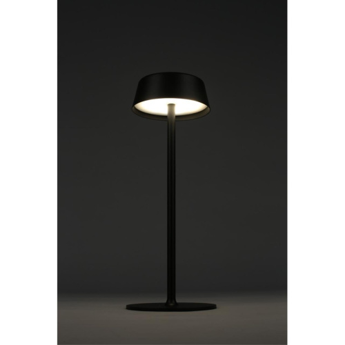 Настольная лампа OML-40504-01 фото 10