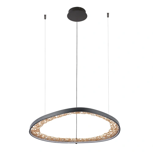 Подвесная люстра Arte Lamp CINTA A1847SP-46BK