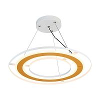 Подвесной светодиодный светильник F-Promo Rotas 4696-4P