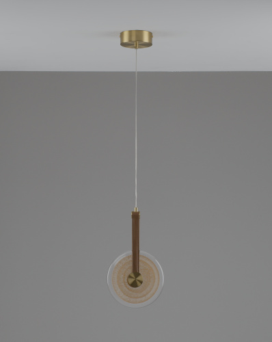 Светильник подвесной светодиодный Moderli V11679-PL Orbique фото 6