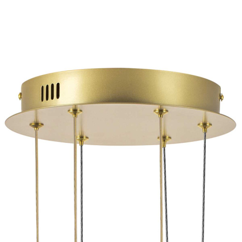 Люстра подвесная Palla Lightstar 739132 фото 3