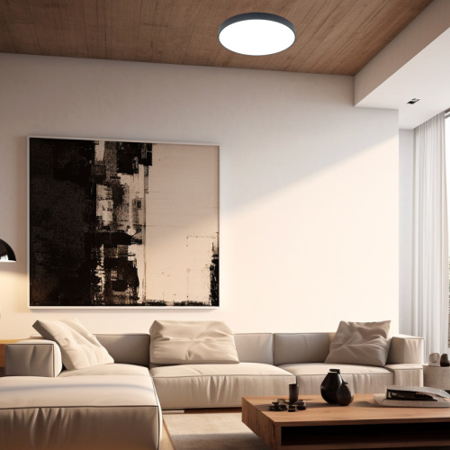 Citilux Купер CL72424V1 LED Светильник потолочный Чёрный фото 16 Citilux Купер CL72424V1 LED Светильник потолочный Чёрный фото 16