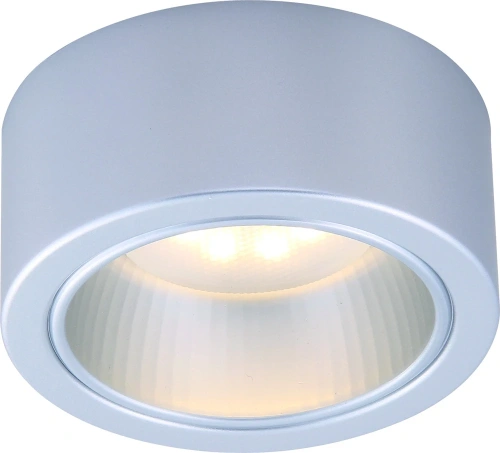 Точечный накладной светильник Arte Lamp EFFETTO A5553PL-1GY Точечный накладной светильник Arte Lamp EFFETTO A5553PL-1GY