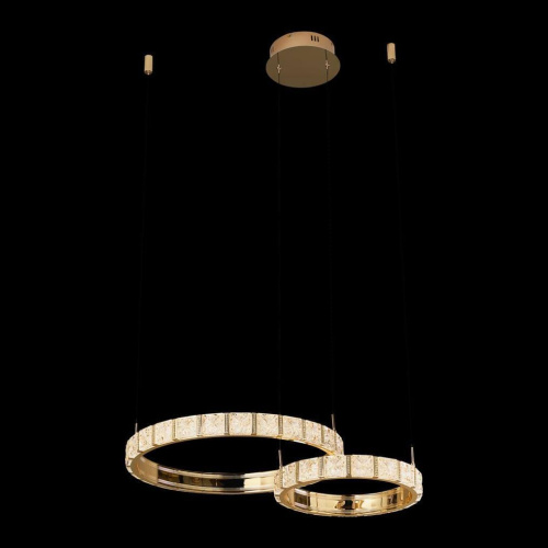 Подвесная светодиодная люстра Wertmark Vera WE458.02.383 Подвесная светодиодная люстра Wertmark Vera WE458.02.383