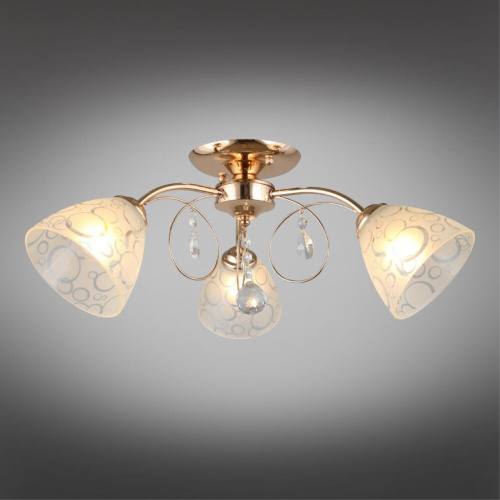 Люстра потолочная OML-29007-03 фото 3