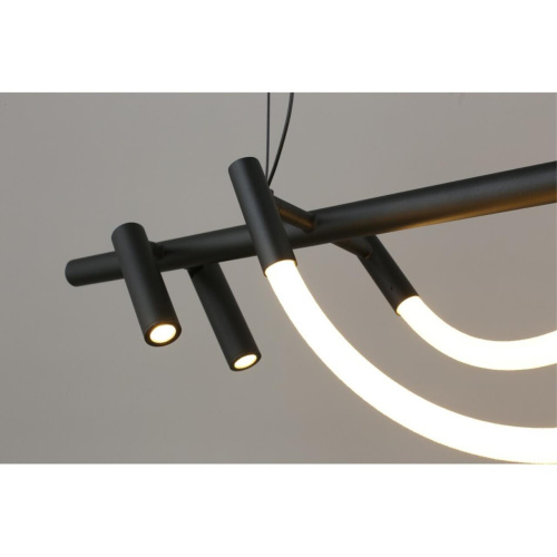 Люстра подвесная APL.773.03.69 фото 4